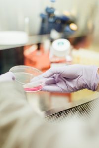 secrétariat médical externalisé