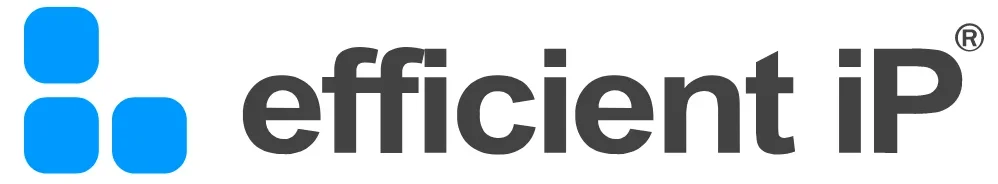 Success story Efficient IP