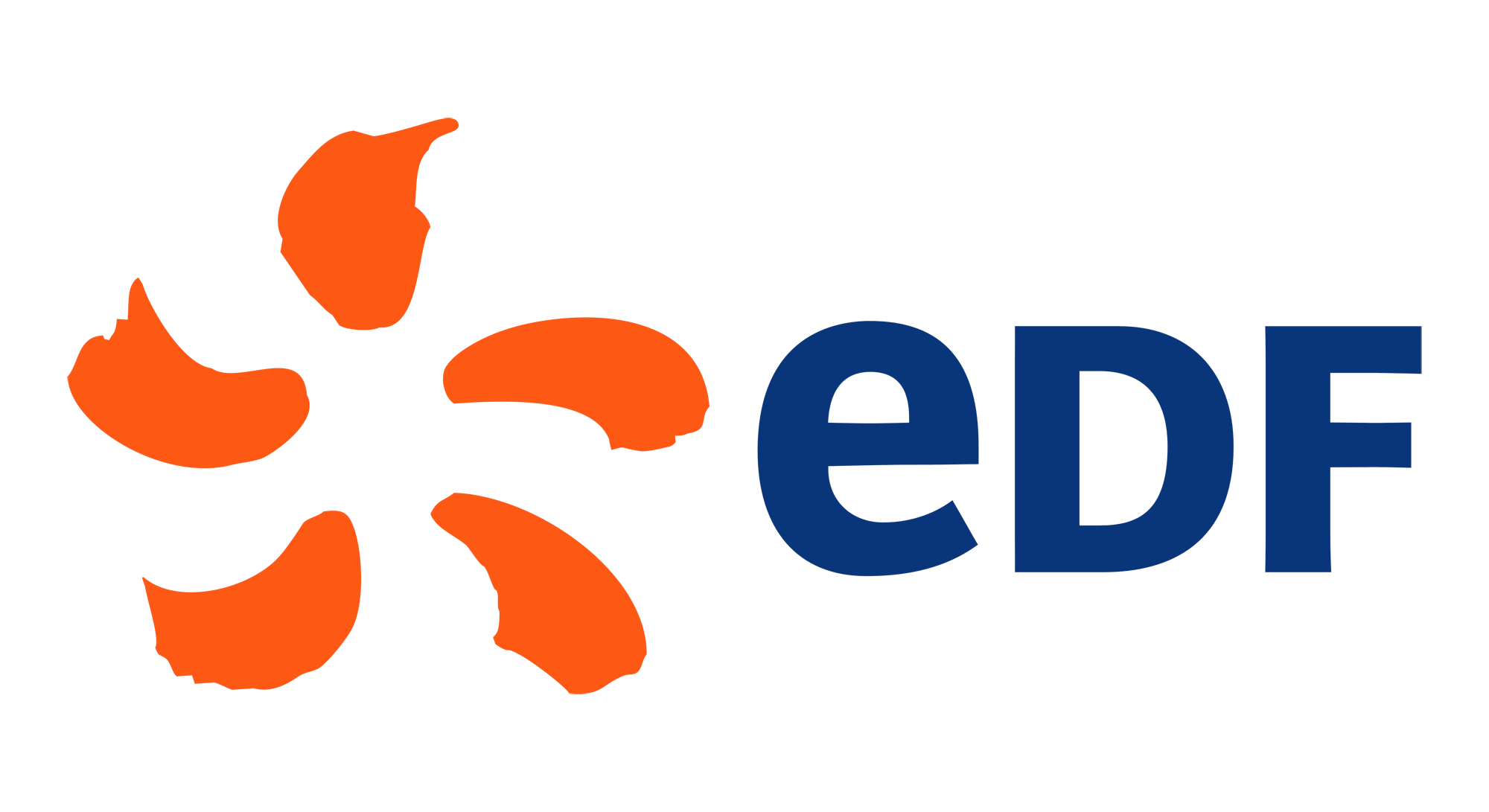 Success Story EDF